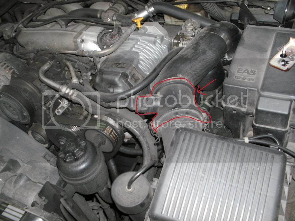 SANY0394.jpg