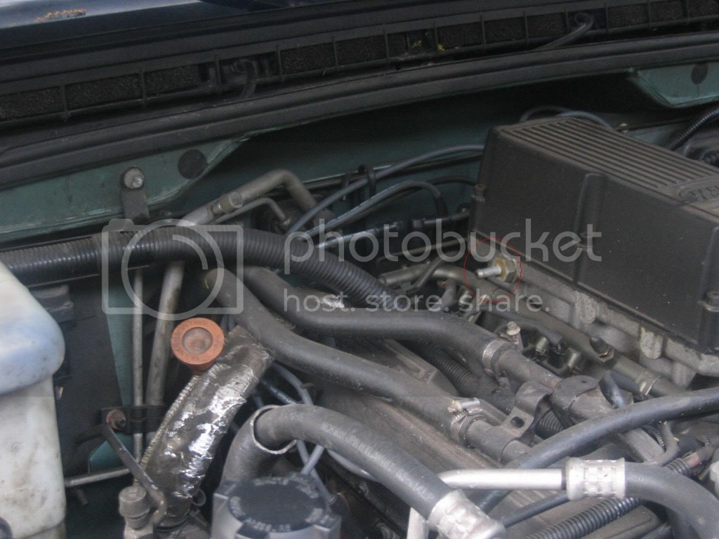 STB_0575.jpg