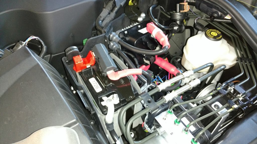 WLS 266_1.jpg