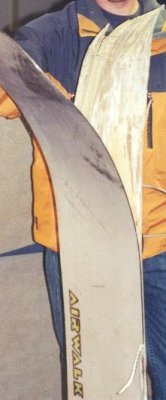 croppedScanImage01.jpg