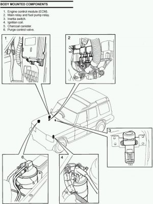 fuel relay.jpg