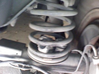 img382.jpg