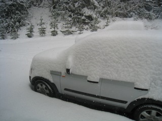 IMG_2218.JPG