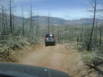 IMG00560-20100508-1113_2.jpg