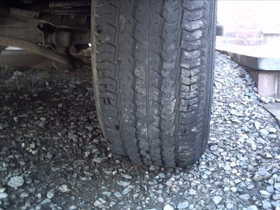 IMG00006.JPG