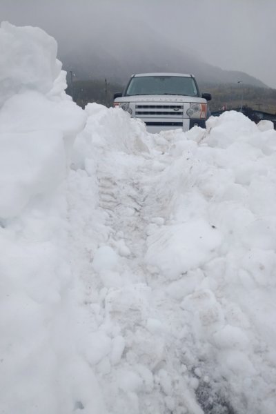 LR3 at Fernie in snow.jpg