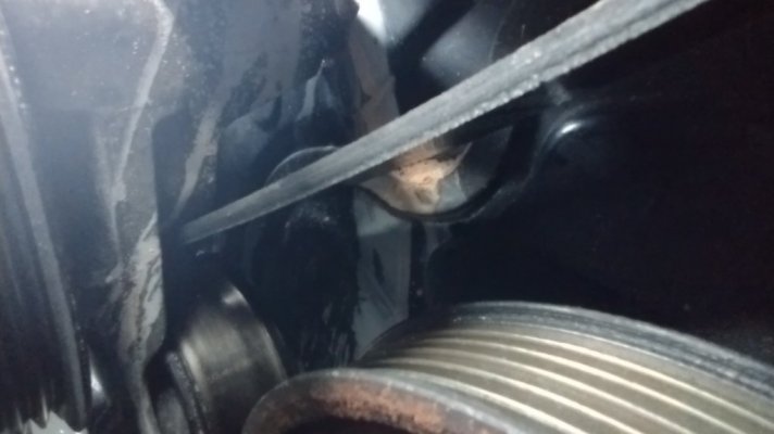 IMG_20240727_184242293.jpg