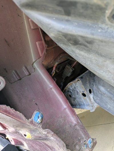 PXL_20240922_182029598.RAW-01.COVER.jpg