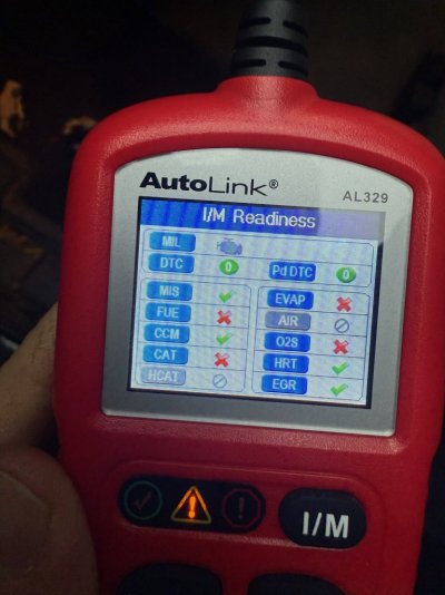 autolink.jpg