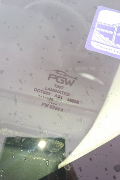 PGW Windscreen Logo DOT 563 Shenzhen Auto Glass China.jpg