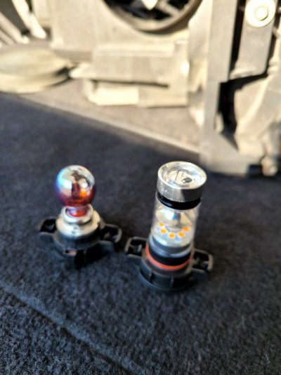 bulb comparison.jpg