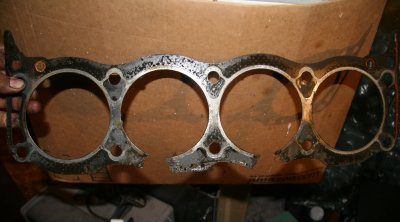 head gasket.JPG